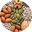 Variety of seeds and nuts display