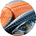 Raw salmon and mackerel fillets