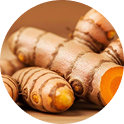 Close-up of fresh turmeric roots